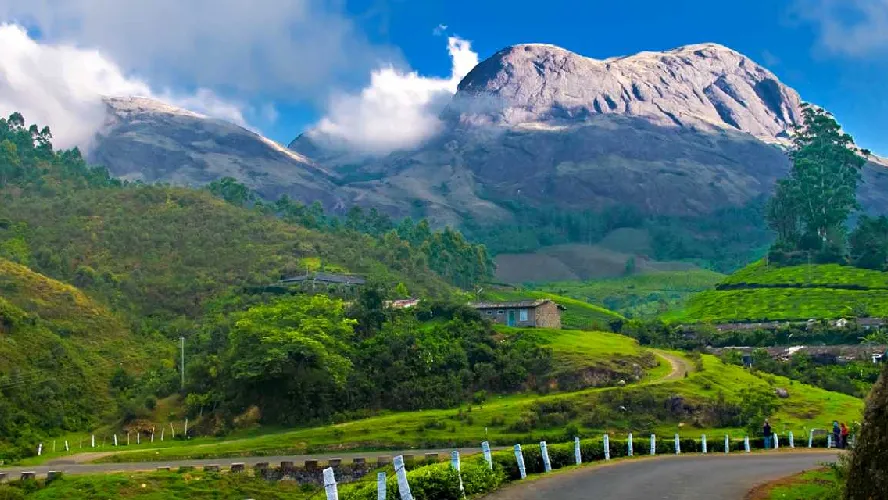 Mesmerizing Munnar &amp; Thekkady Holiday Tour Package
