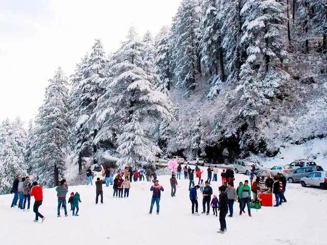 Best Shimla Kufri Chail Narkanda Snow Trip From Delhi – 7 Days / 6 Nights