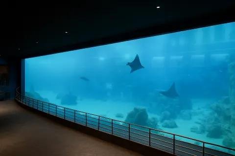 Tour gallery